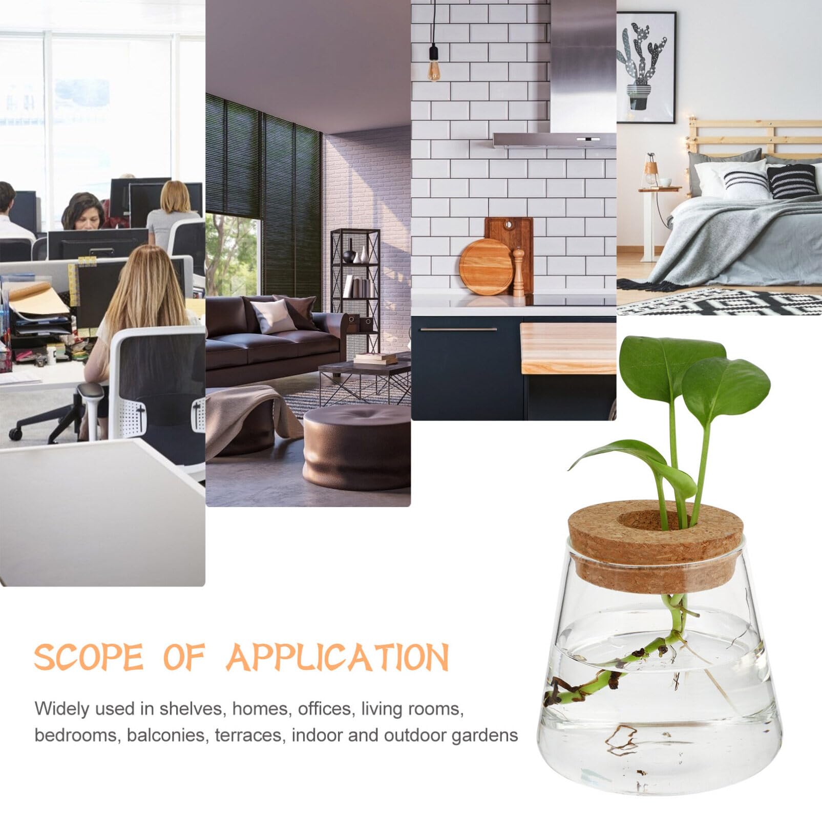 Amazon.co.jp: 4 個 水栽培 容器 花瓶 ガラス おしゃれ 花瓶